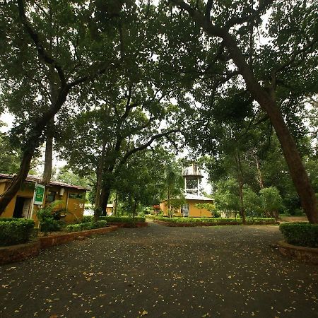 Mpt White Tiger Forest Lodge Tala  Luaran gambar
