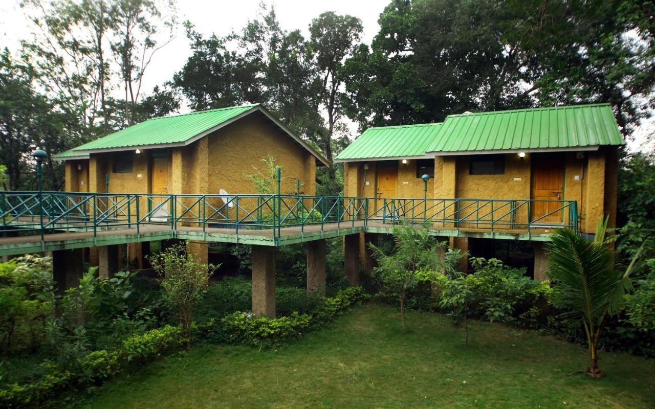 Mpt White Tiger Forest Lodge Tala  Luaran gambar
