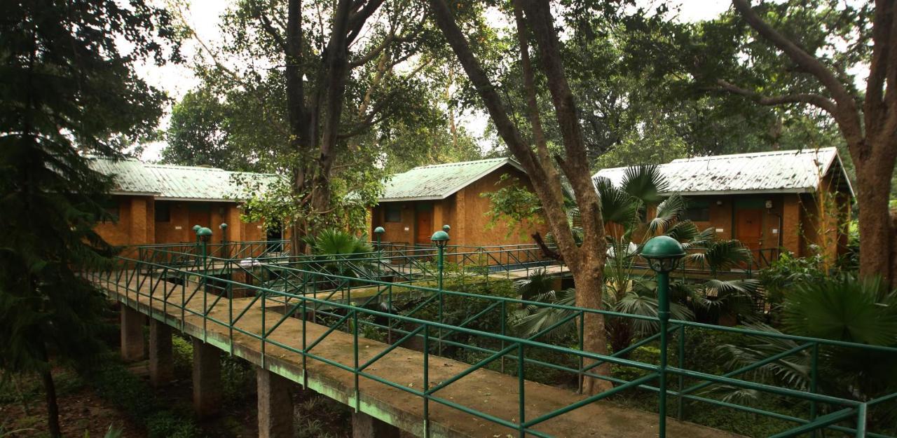 Mpt White Tiger Forest Lodge Tala  Luaran gambar