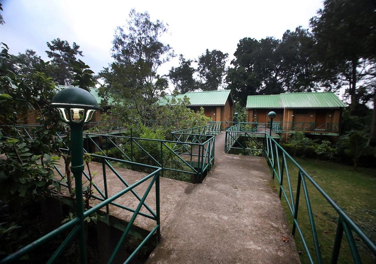Mpt White Tiger Forest Lodge Tala  Luaran gambar