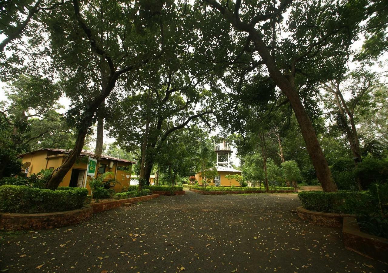 Mpt White Tiger Forest Lodge Tala  Luaran gambar